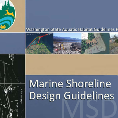 Marine Shoreline Design Guidelines (MSDG) report cover