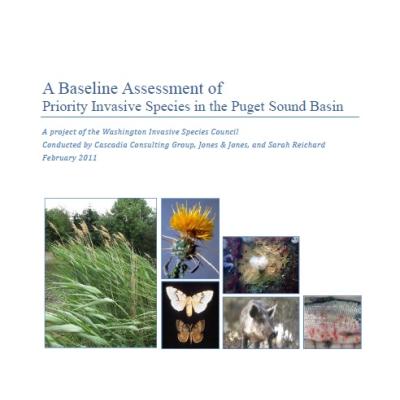 A baseline assessment report cover page