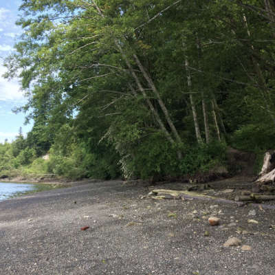 Anna Smith Park, Bremerton WA – May 2017
