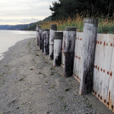 Bulkhead in Puget Sound. Photo by Christopher Dunagan