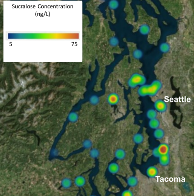 Sucralose, an artificial sweetener, is a good tracer of wastewater. It is present at low levels throughout the Puget Sound [1].