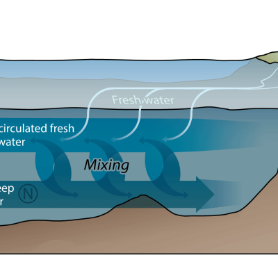 Graphical illustration of circulation pattern in Puget Sound of deep and surface waters