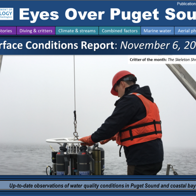 Eyes Over Puget Sound: Surface Conditions Report - November 6, 2018