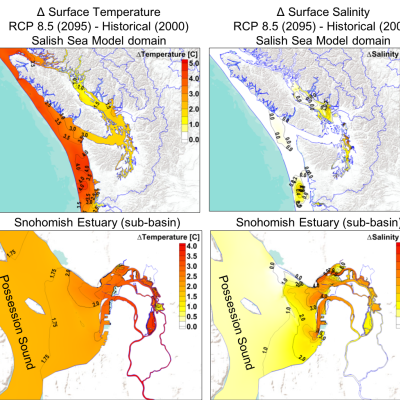 Predicted annual average Δ in surface temperature and salinity over (a) the entire Salish Sea domain, as well as (b) in the nearshore intertidal regions of the Snohomish River estuary (see Khangaonkar et al. 2019 for details).  Image courtesy of Journal of Geophysical Research: Oceans.