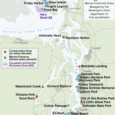 A map of Marine Protected Areas within Puget Sound. Image courtesy of the Washington Department of Fish and Wildlife