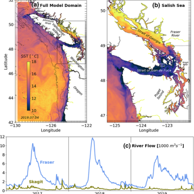 An image from the LiveOcean model showing Salish Sea circulation patterns. 