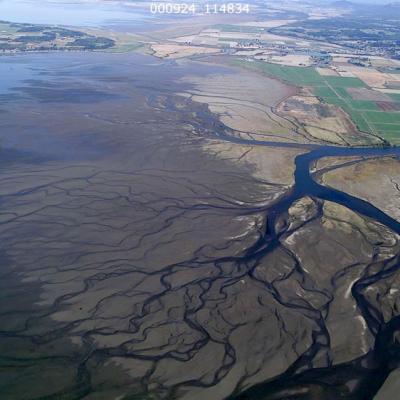 A large river delta in Puget Sound. Photo courtesy of Puget Sound Nearshore Ecosystem Restoration Project