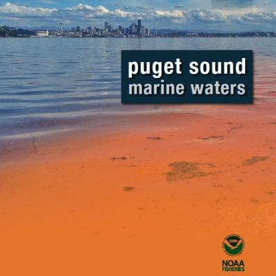 2013 Puget Sound Marine Waters Overview 