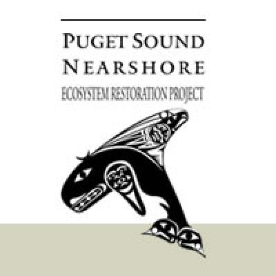 PSNERP logo