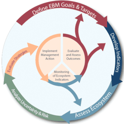 Graphic of the IEA loop. Credit: NOAA