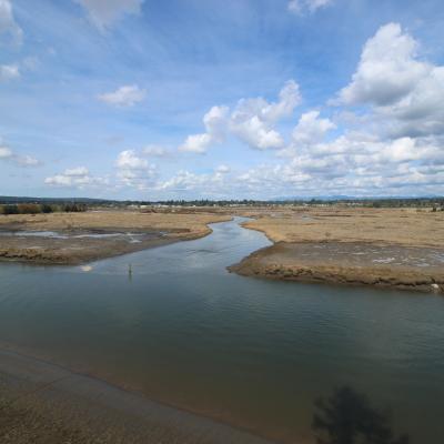 The Qwuloolt estuary hydrology restored by breaching a century old levee. WRP easement land in the foreground. Photo: USDA