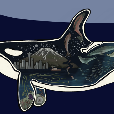 Image from report cover