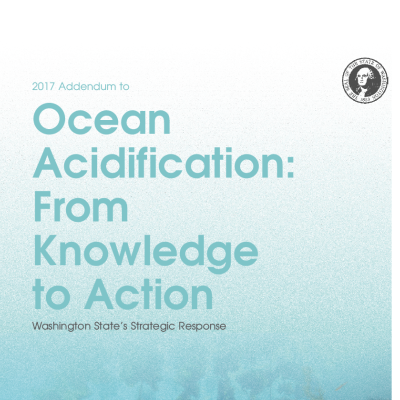 Report cover