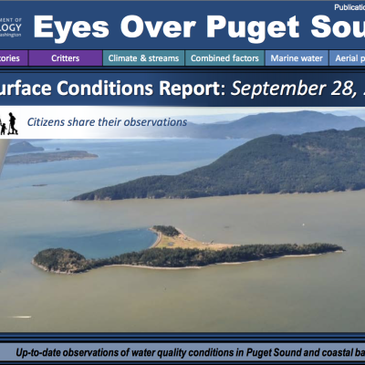 Report cover