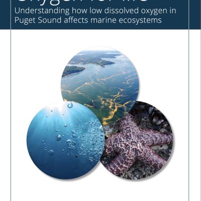 Report cover