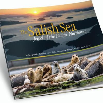 Book cover for The Salish Sea: Jewel of the Pacific Northwest
