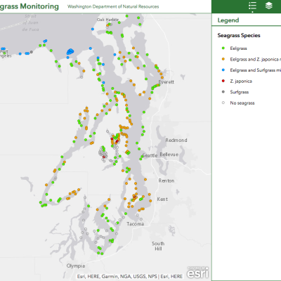 Eelgrass Data Viewer