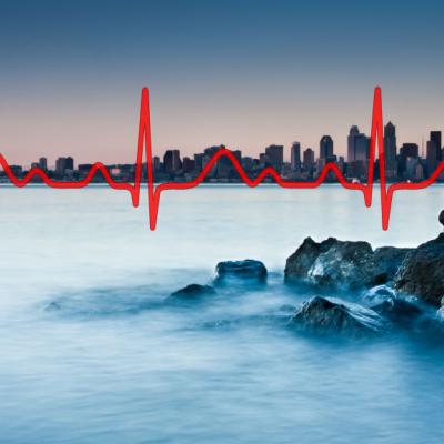 Heartbeat line overlays Seattle Skyline from Alki Beach. Graphic: Puget Sound Institute w/ copyrighted images