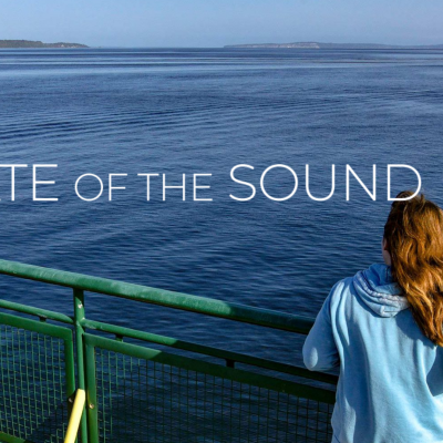 Image from State of the Sound Report website