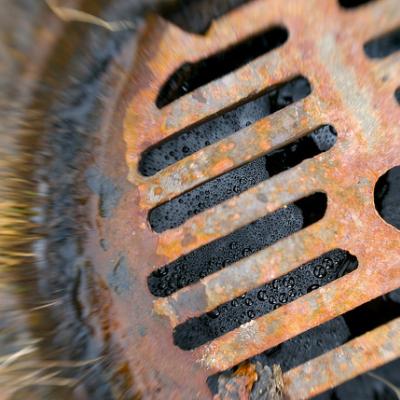 Stormwater flowing into catch basin carries contaminants to our waterways. Photo: Ben McLeod (CC BY-NC-SA 2.0) https://www.flickr.com/photos/benmcleod/420158390