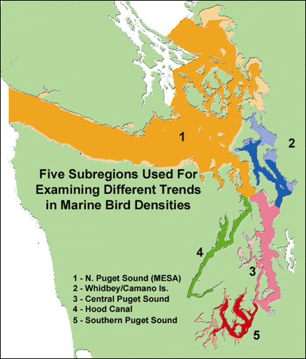 9 Marine Birds Encyclopedia Of Puget Sound,How Many Quarters Make A Dollar