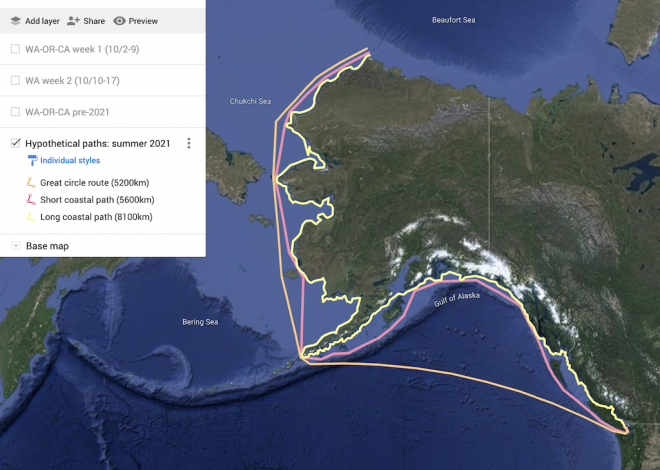A map showing possible paths taken by the beluga between Alaska and Puget Sound. Orange shows the most direct route, pink a coastal route crossing embayments between prominent points, and yellow a nearshore route.