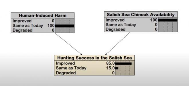 Diagram showing how the availability of prey and human-induced harm might influence hunting success of orcas. 