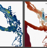 Maps generated from the Salish Sea Model showing surface layer transport in the Northwest Straits (left) and sea surface salinity (right). Images: Pacific Northwest National Laboratory