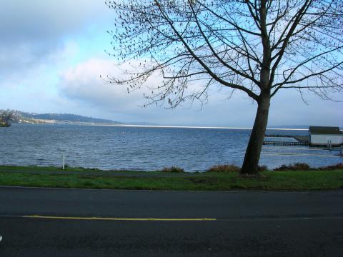 2003 Seattle Marathon - Seward Park Photo: J Brew (CC BY-SA 2.0) https://www.flickr.com/photos/brewbooks/1282527696