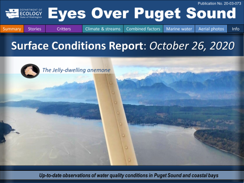 Eyes Over Puget Sound report cover