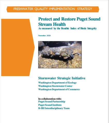 Report cover