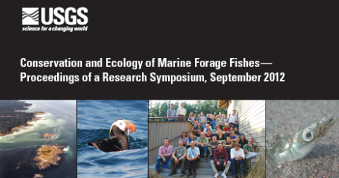Report cover image