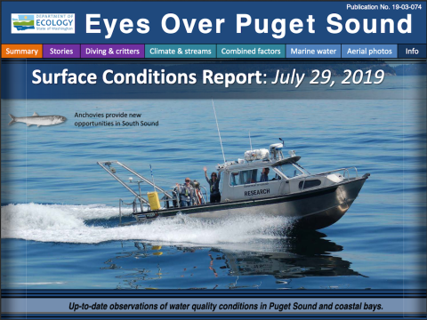 Eyes Over Puget Sound report cover