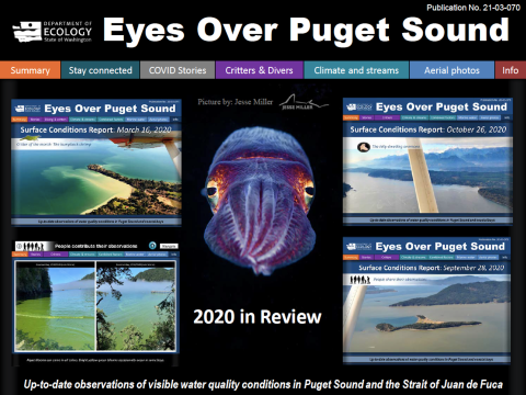 Eyes Over Puget Sound report cover