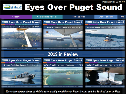 Report cover