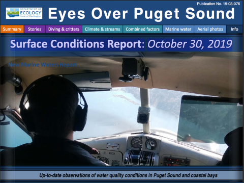 Report cover