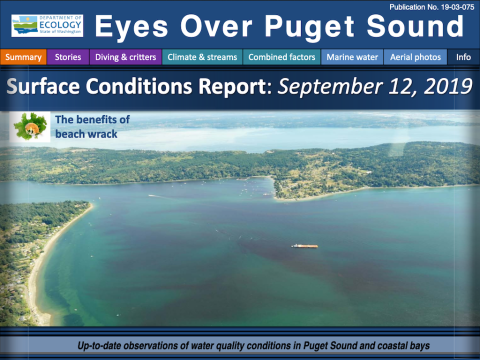 Report cover