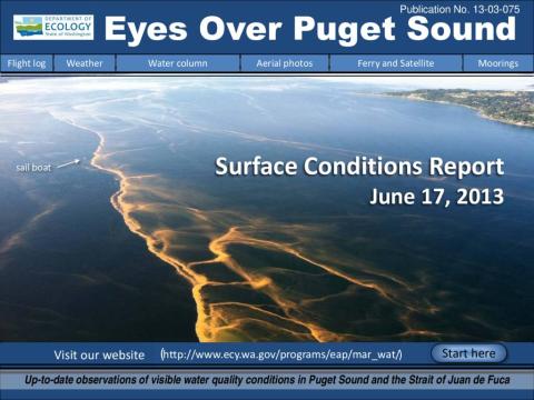Eyes Over Puget Sound: Surface Conditions Report - June 17, 2013