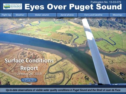 Eyes Over Puget Sound: Surface Conditions Report - October 28, 2013