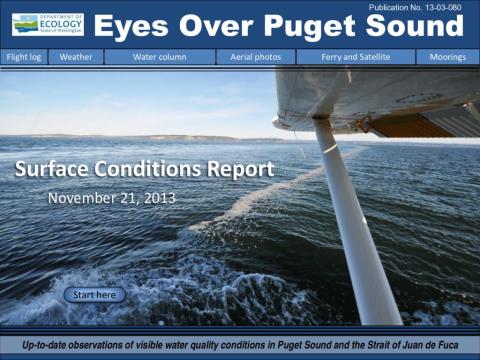 Eyes Over Puget Sound: Surface Conditions Report - November 21, 2013