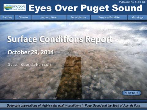 Eyes Over Puget Sound: Surface Conditions Report - October 29, 2014