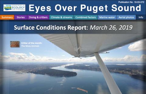 Report cover