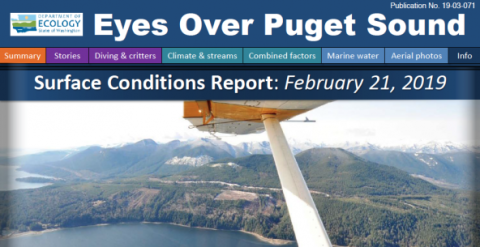 Report cover