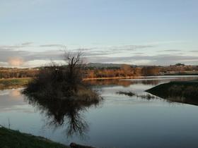 Submerged marsh in Fisher Slough. Image courtesy of NOAA.