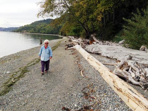Pat Collier walking along the restored beach in front of her Maury Island home. Photo: Christopher Dunagan/PSI
