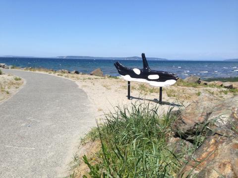 The view from the shore of Brackett's Landing, a Marine Protected Area in Puget Sound. Photo by Jeff Rice. Attribution-NonCommercial 4.0 International (CC BY-NC 4.0)