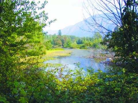 The Snoqualmie River. Photo copyright King County. 