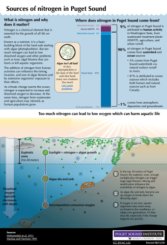 Infographic describing sources of nitrogen in Puget Sound