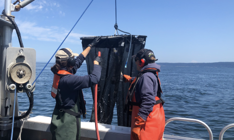Two people standing on a boat hosing off two long, black sampling nets that have been pulled out of the water by a small crane.