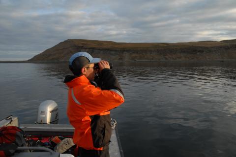 Peter Hodum, conservation biologist from the University of Puget Sound counts rhinoceros auklets and tufted puffins around Protection Island, WA (in the background). Photo: Scott Pearson, WDFW